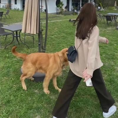 惊爆马尼拉